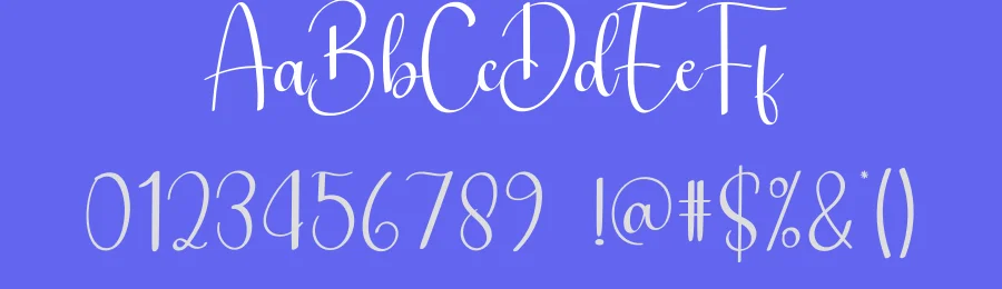 Payment Font by creativeletter — Script Handwritten Font — thumbnail 3