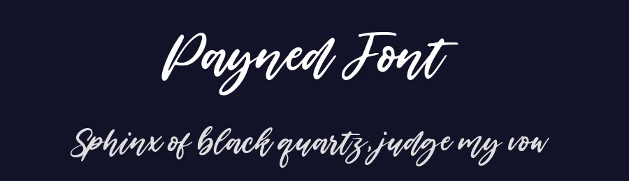 Payned Font by metafontsy — Script Handwritten Font — thumbnail 2