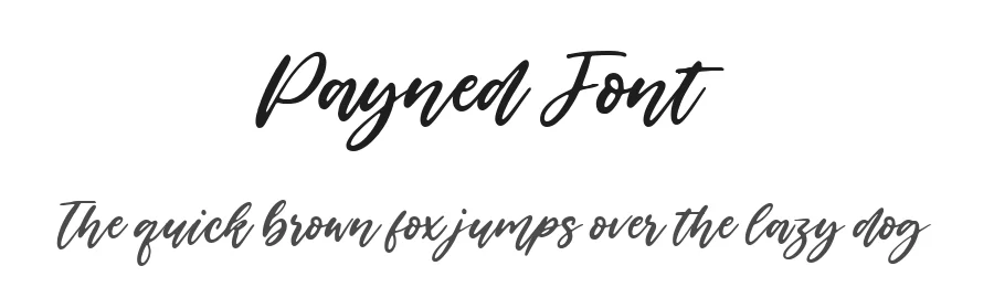 Payned Font by metafontsy — Script Handwritten Font