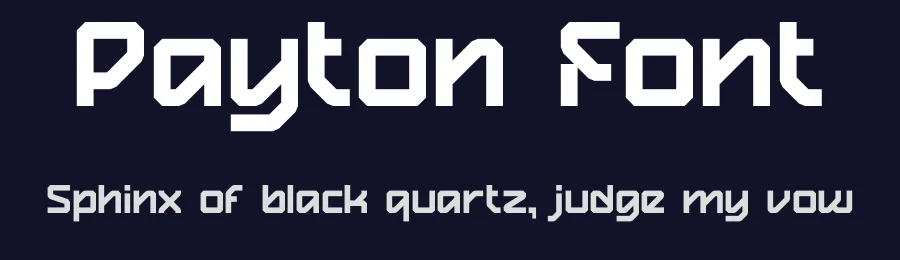 Payton Font by Pinisi ART — Display Font — thumbnail 2