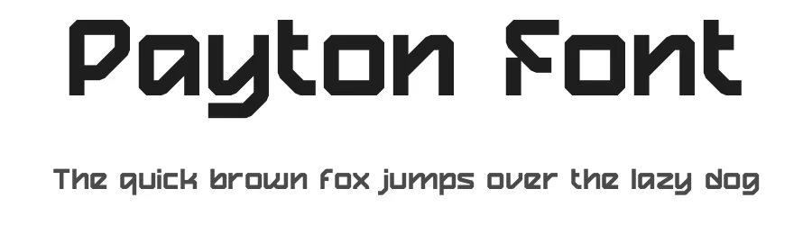 Payton Font by Pinisi ART — Display Font