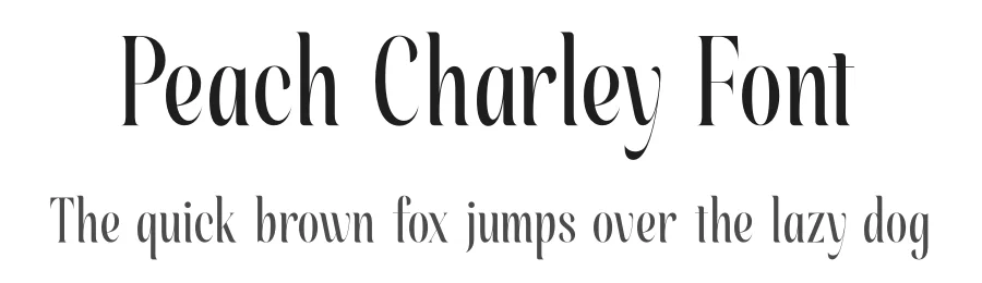 Peach Charley Font by Storytype — Serif Font