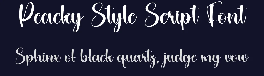 Peacky Style Script Font by andikastudio — Script Handwritten Font — thumbnail 2