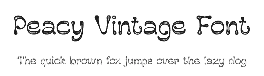 Peacy Vintage Font by craftsupplyco — Display Font