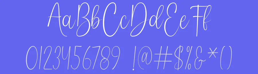Pearly Script Font by DN Creative — Script Handwritten Font — thumbnail 3