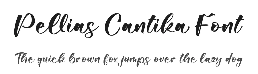 Pellias Cantika Font by perspectype — Script Handwritten Font