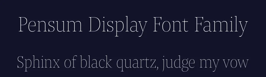 Pensum Display Font Family by Nils Thomsen — Display Font — thumbnail 2
