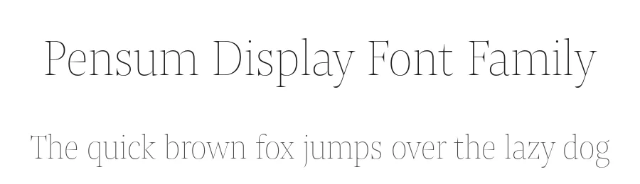 Pensum Display Font Family by Nils Thomsen โ Display Font