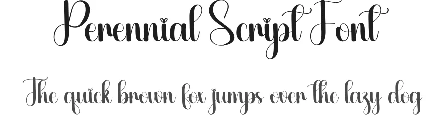 Perennial Script Font by creativeletter — Script Handwritten Font