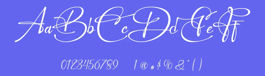 Perfect Signature Font by Thomas Aradea — Script Handwritten Font — thumbnail 3