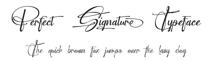 Perfect Signature Typeface by Dipati Creator — Script Handwritten Font