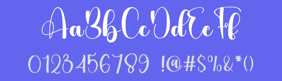 Perfectly Handmade – Handwritten Script Font by freshtypeink — Script Handwritten Font — thumbnail 3