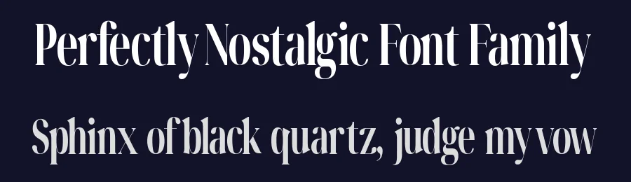 Perfectly Nostalgic Font Family by Gloriatype — Serif Font — thumbnail 2
