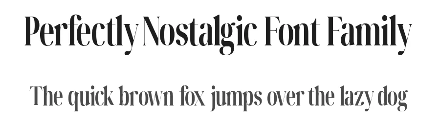 Perfectly Nostalgic Font Family by Gloriatype β Serif Font