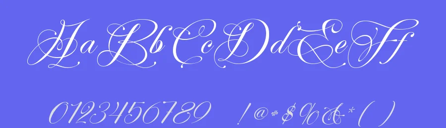 Perfecto Calligraphy Font by Thomas Aradea — Script Handwritten Font — thumbnail 3