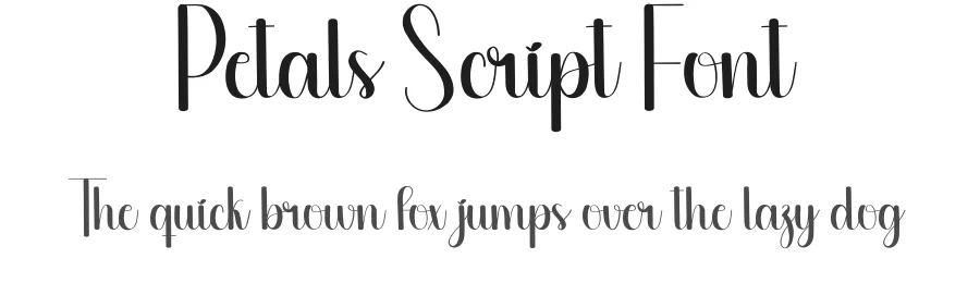Petals Script Font by creativeletter — Script Handwritten Font