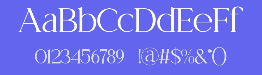 Pethra Serif Font by ErmediaStudio — Serif Font — thumbnail 3