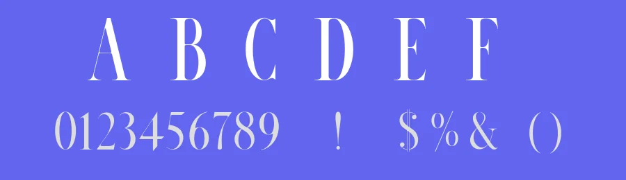 Petrogradski Serif Font by Stanislav Chiganov — Serif Font — thumbnail 3