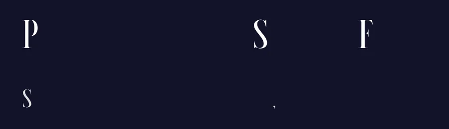 Petrogradski Serif Font by Stanislav Chiganov — Serif Font — thumbnail 2