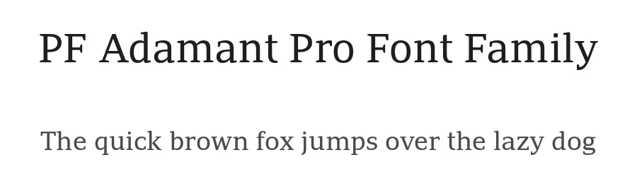 PF Adamant Pro Font Family by Vedran Erakovic — Serif Font