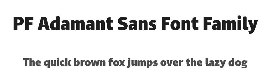 PF Adamant Sans Font Family by Parachute — Sans Serif Font