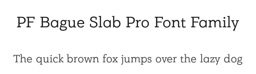 PF Bague Slab Pro Font Family by Panos Vassiliou — Slab Serif Font