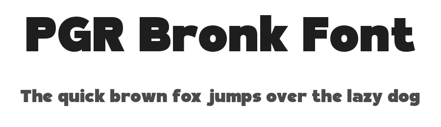 PGR Bronk Font by Pikgura — Display Font