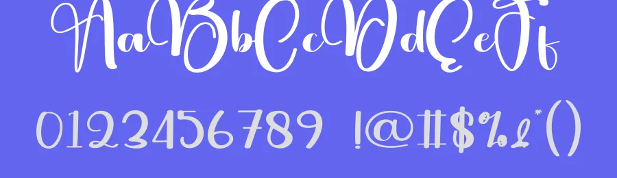 Photography Calligraphy Font by andikastudio — Script Handwritten Font — thumbnail 3