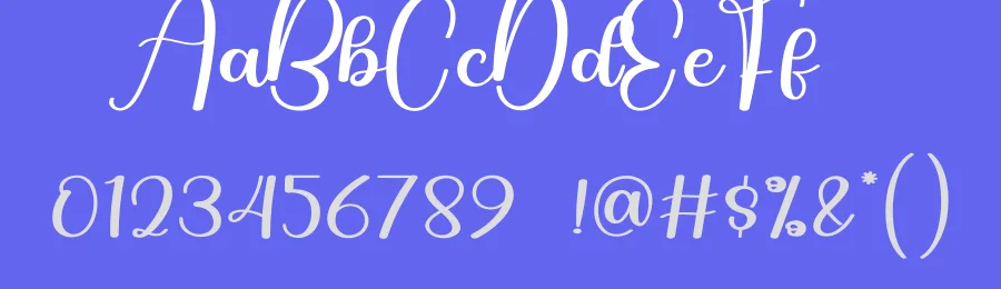 Photography Calligraphy Font by andikastudio — Script Handwritten Font — thumbnail 3