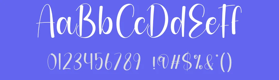 Photography Modern Script Font by creativeletter — Script Handwritten Font — thumbnail 3