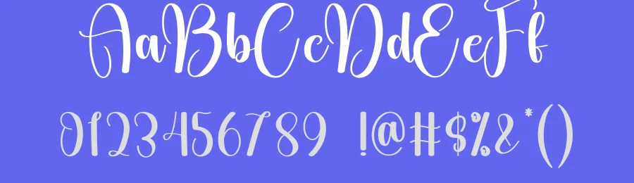 Photography – Modern Script Handwritten Font by creativeletter — Script Handwritten Font — thumbnail 3