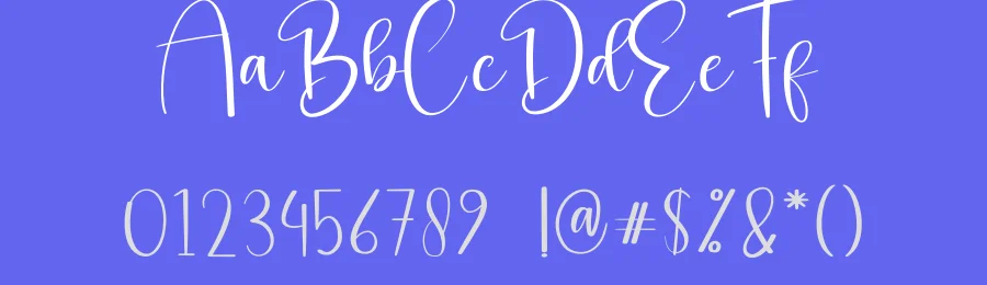 Photography Script Font by andikastudio — Script Handwritten Font — thumbnail 3