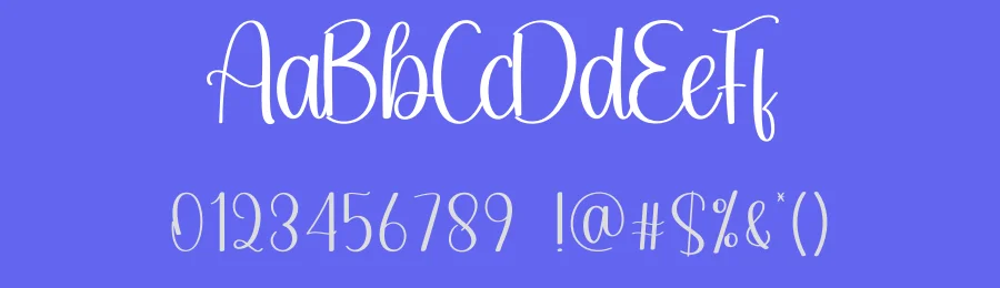 Photography Script Font by creativeletter — Script Handwritten Font — thumbnail 3