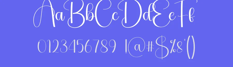 Photography Script Font by creativeletter — Script Handwritten Font — thumbnail 3