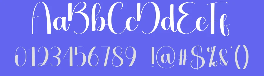 Photography Script Font by creativeletter — Script Handwritten Font — thumbnail 3