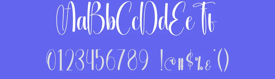 Photography Script Font by creativeletter — Script Handwritten Font — thumbnail 3