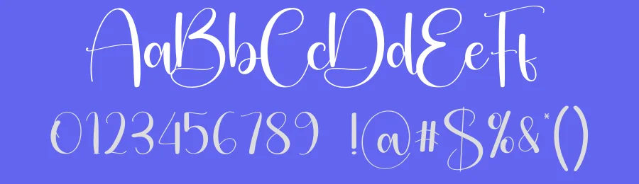 Photography Script Font by Store_07 — Script Handwritten Font — thumbnail 3