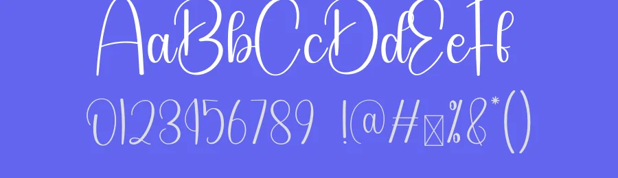 Photography Script Font by creativeletter — Script Handwritten Font — thumbnail 3