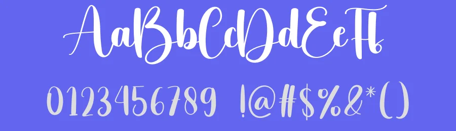Photography Script Font by creativeletter — Script Handwritten Font — thumbnail 3