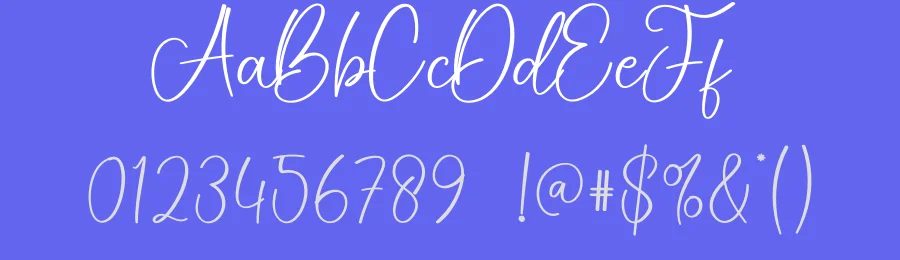 Photography Script Typeface by creativeletter — Script Handwritten Font — thumbnail 3