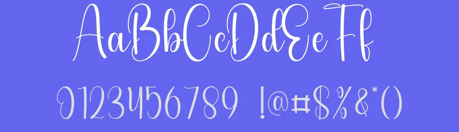 Photography Style Script Font by andikastudio — Script Handwritten Font — thumbnail 3