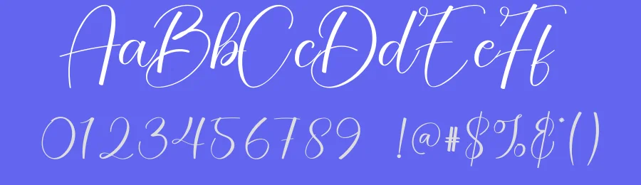 Photoshoot Script Font by creativeletter — Script Handwritten Font — thumbnail 3