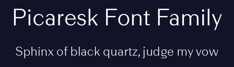 Picaresk Font Family by Rui Abreu — Decorative Font — thumbnail 2