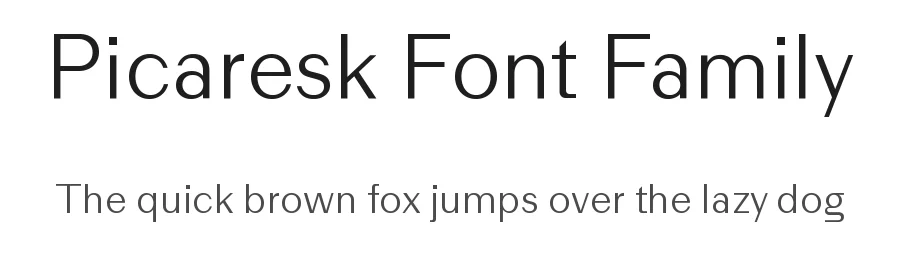 Picaresk Font Family by Rui Abreu — Decorative Font
