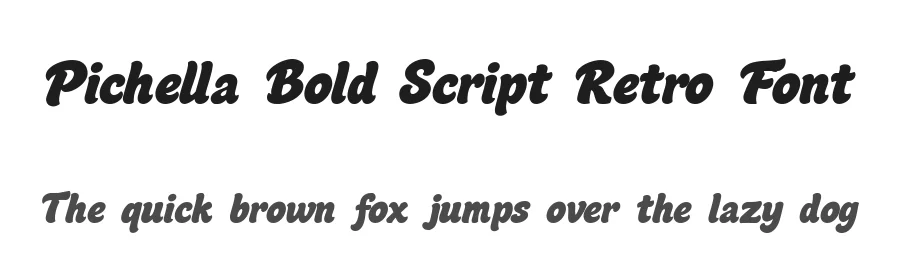 Pichella Bold Script Retro Font by letterhanna — Decorative Font