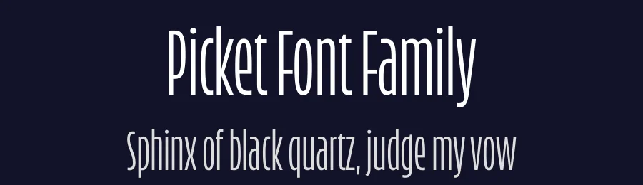Picket Font Family by Inga Plönnigs — Sans Serif Font — thumbnail 2