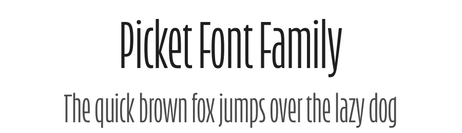Picket Font Family by Inga Plönnigs — Sans Serif Font