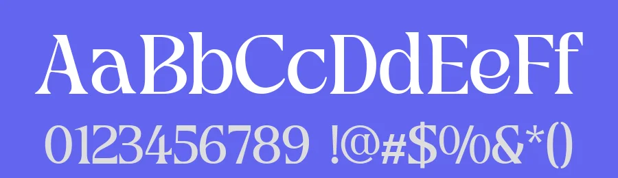 Picktea Font by roomspace.cl — Serif Font — thumbnail 3