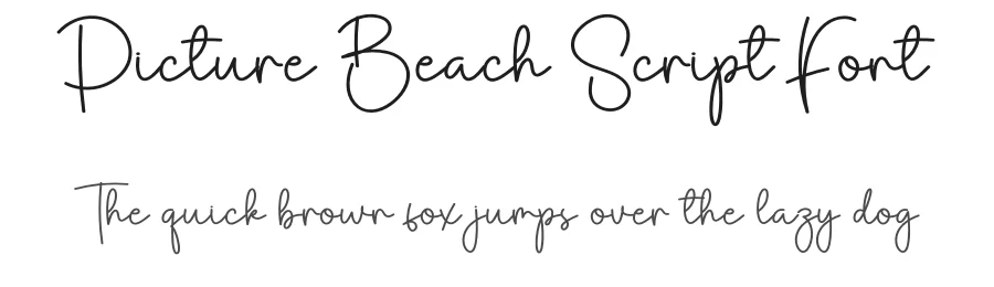 Picture Beach Script Font by creativeletter — Script Handwritten Font