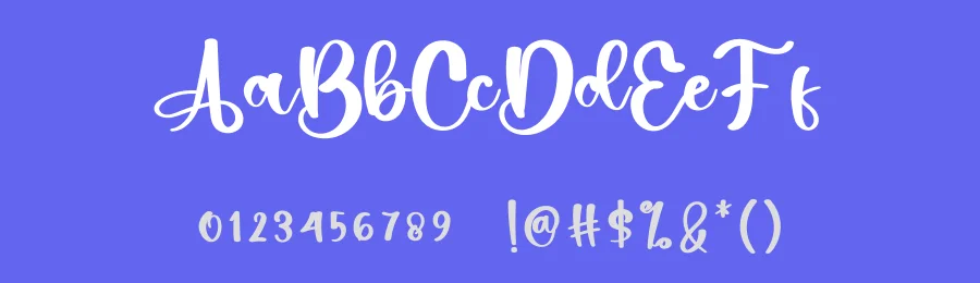 Picture Script Font by inermediaSTUDIO — Script Handwritten Font — thumbnail 3